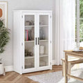  Arlowe Modern Wood Storage Cabinet with Glass Door